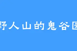 回野人山的鬼谷医仙