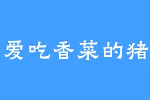 不爱吃香菜的猪呀