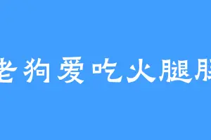 老狗爱吃火腿肠