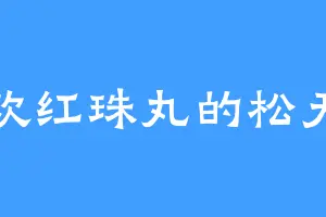 喜欢红珠丸的松天豪